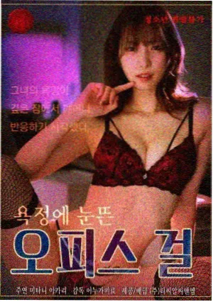 爱的迫降经典韩剧海报